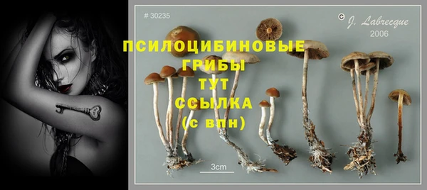 меф Вяземский