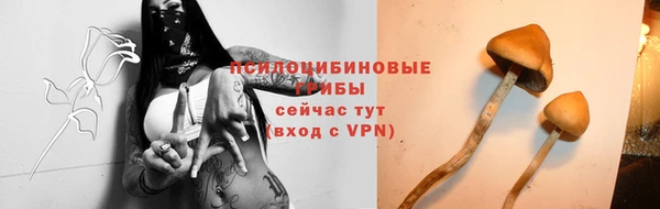 меф Вяземский